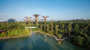 Date ideas in Singapore Dragonfly & Kingfisher Lakes 