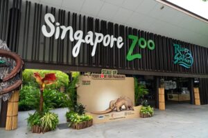 Singapore Zoo ideas date for couple 