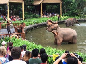 Singapore Zoo ideas date for couple 