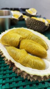 99 old trees serve the best durian Singapore 