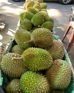 Ah Di Dempsey Durian selling best durian Singapore 