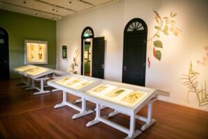 Botanical Art Gallery 