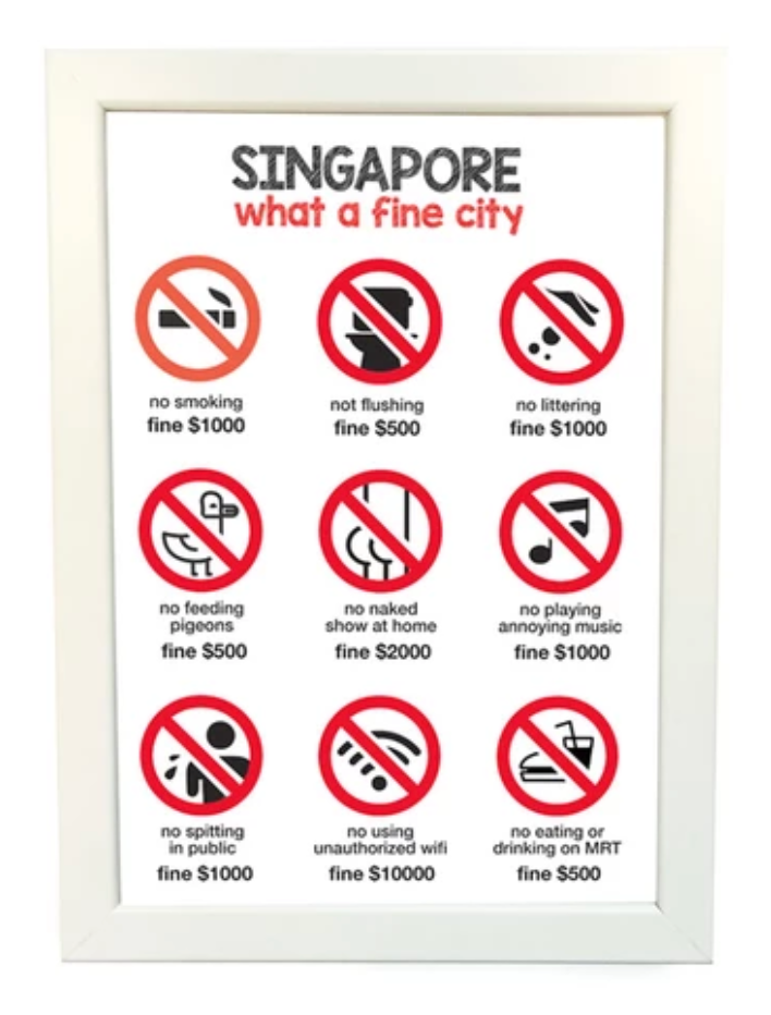 Singapore Fines